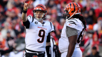 Bengals vs Kansas City Chiefs Match Player Stats
