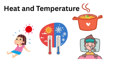 What is the temperature