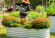 Vego garden
