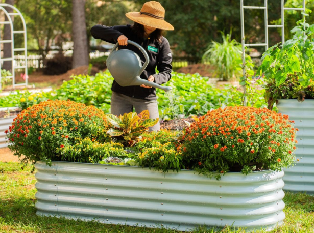 Vego garden
